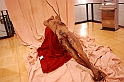 Il Corpo Del Crocifisso_053